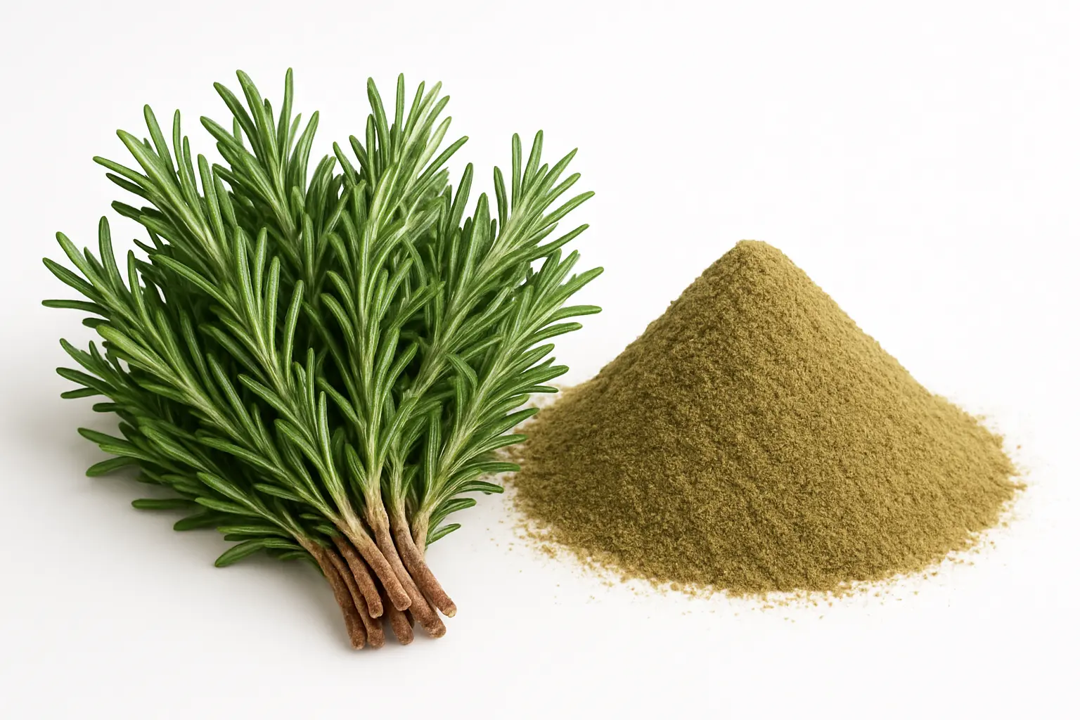 Rosemary Extract